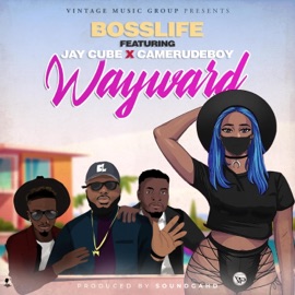 WayWard (feat. Jay Cube & CameRudeboy) BossLife