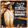 Mambo #5 (A Little Bit Of...)