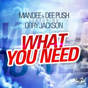 What You Need (feat. Orry Jackson) - Single