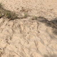 Legend - Single - Aspect