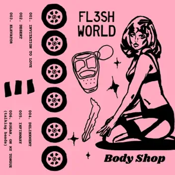 FL3SH WORLD album cover
