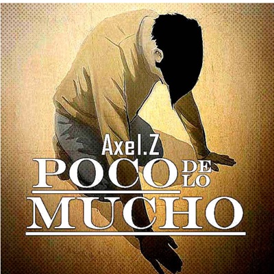 Poco de Lo Mucho - Single