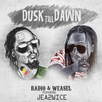 Dusk Till Dawn (feat. Jea2wice) - Single - Radio & Weasel