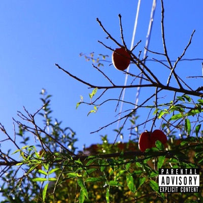 Spanglish - Single
