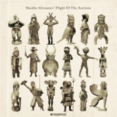 The Shaolin Afronauts - The Quiet Lion