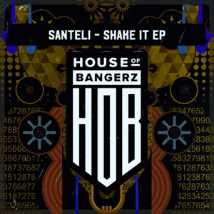 Shake It - Single