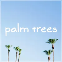 Palm Trees — MBB