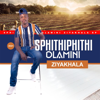 Sphithiphithi Dlamini - Ziyakhala artwork