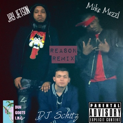 Reason (feat. Jay Jetson & Mike Mezzl) [Remix] - Single