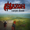 The Pilgrimage by Saxon