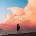 Vibechaser
