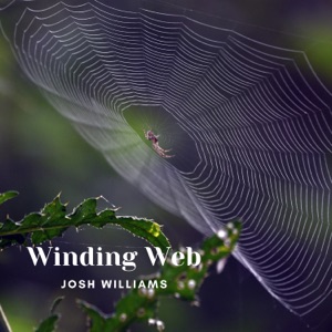 Winding Web