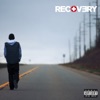 Recovery (Deluxe Edition)