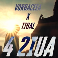 4 Ziua (feat. Tibal) - Single - Vorbaceea
