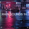 !!!" Rain Sounds 1h"!!! - Rain Sounds, Rain for Deep Sleep & BodyHI