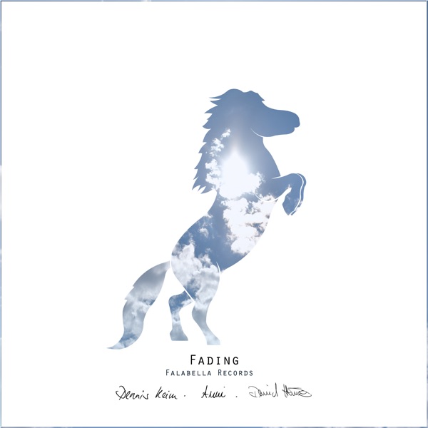 Fading (feat. Anni) - Single