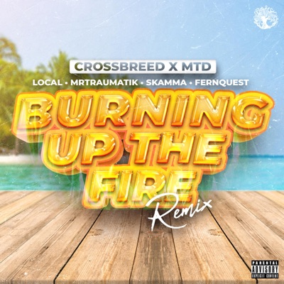 Burning Up the Fire (feat. Local, Skamma & Fernquest) [Remix] [Remix] - Single
