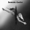 What Did the Critics Say - Tamás Varga lyrics