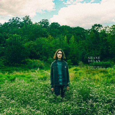 A Star or a Lonely Dreamer