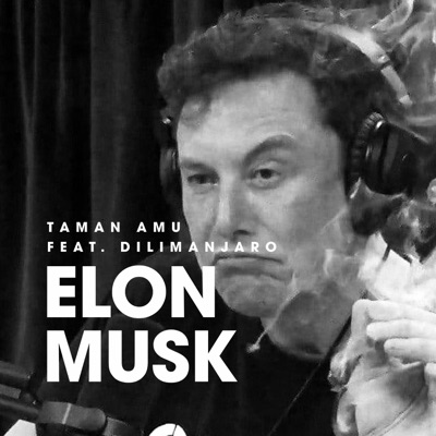 Elon Musk (feat. Dilimanjaro) - Single