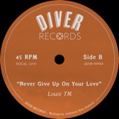 Never Give Up On Your Love artwork
