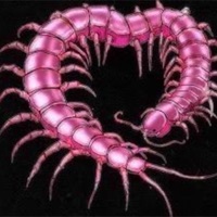 I've been aaaaaaaaaaa - Single - Heychico