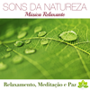 Sons da Natureza e Relaxamento: 101 Relaxamento Musicas de Fundo, Meditação, Musicas para Meditar, Musicas para Dormir, Musicoterapia, Joga, Massagens Relaxantes e Serenidade - Meditation Dominion & Ambiente