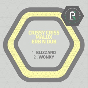 Blizzard / Wonky - Single