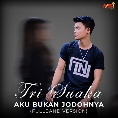 Aku Bukan Jodohnya (Fullband Version) - Single