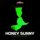 Honey Sunny (Extended Mix) artwork