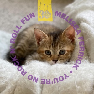 You're No Rock N' Roll Fun - Single