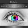 Pineal Gland Calibration: Wellness & Spa for Chakras