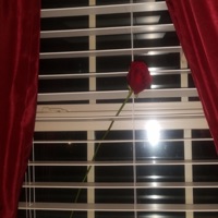 Broken Serenity (feat. Pinkcig & Blacklunged) - Single - Madi Marie