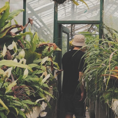 Zezwla (feat. Băieți Cuminți) - Single