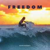 Freedom artwork