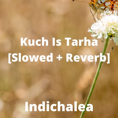 Indichalea - Kuch Is Tarha (Slowed+Reverb)