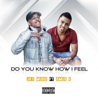 Do You Know How I Feel (feat. Amus K) - Single - Jay Music