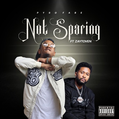 Not Sparing (feat. Zaytoven) - Single