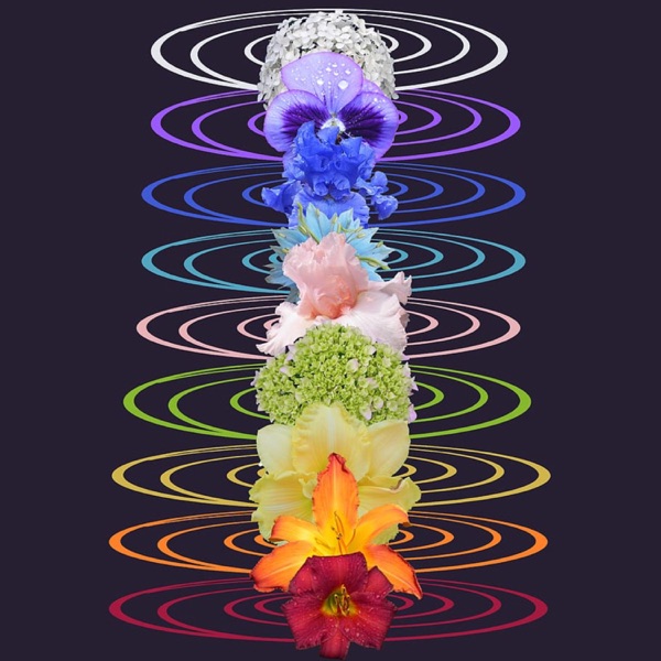 9 Solfeggio Frequencies (Healing Tones for Meditation, Emotional, Spiritual and Physical Health, Reiki, Acupuncture, Therapy, Chanting and Restorative Balance)