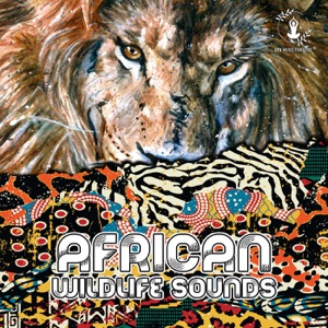 African Wildlife Sounds