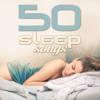 50 Sleep Songs - Varios Artistas