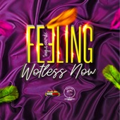 Feeling Wotless Now artwork