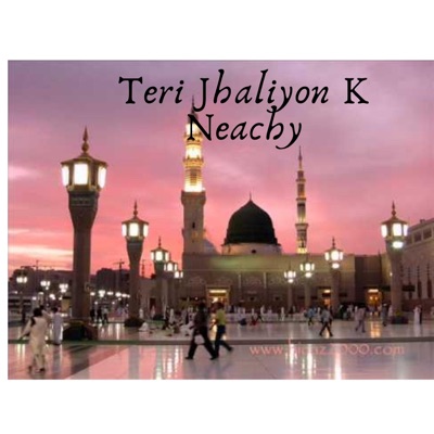 Puthhay Pangay - Teri Jhaliyon K Neachy