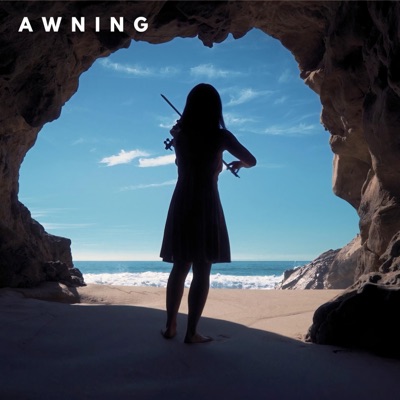 Awning - Single