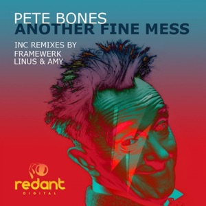 Another Fine Mess - Single