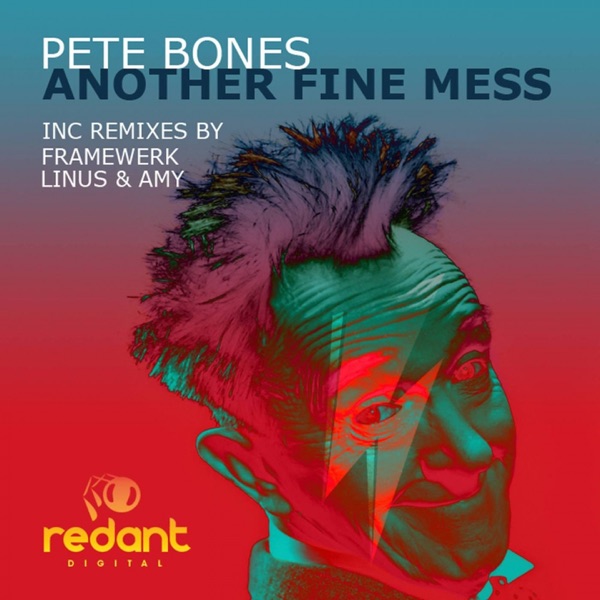 Another Fine Mess - Single