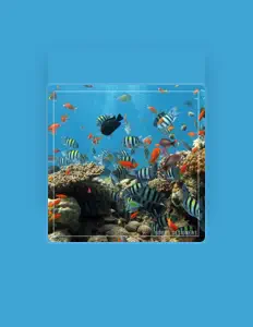 Sound Designers: песни, клипы, биография, даты выступлений и многое другое.