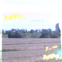 Nico LaOnda — Post Nebbia