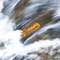 Psychedelic Wonderland (feat. The Bush-Wzrd) - Single - Willie Kay