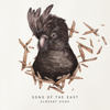 Into the Sun (EP Version) - Sons Of The East